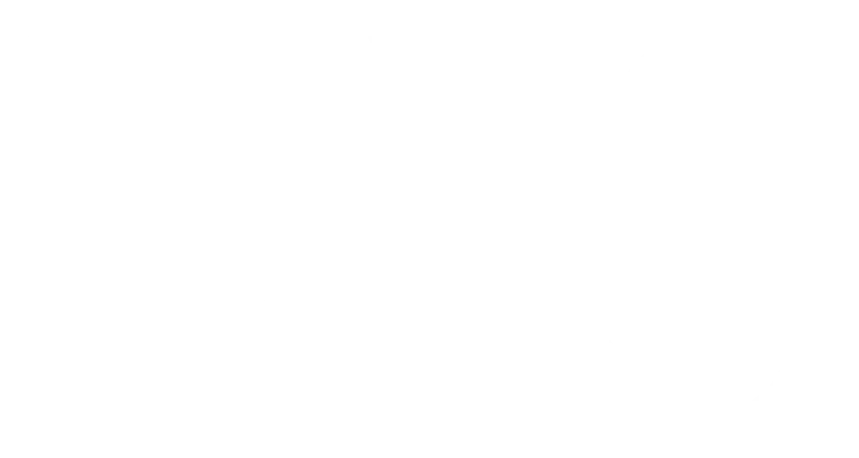 DES LOGO IN WHITE